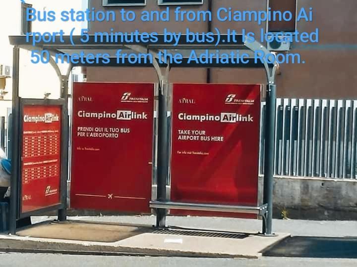 Adriatic Room 50 M Dalla Stazione Ferroviaria Di Ciampino E Dalla Navetta Aeroportuale Eksteriør bilde